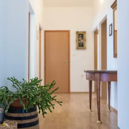 Apartment Marija Vižinada Exterior foto